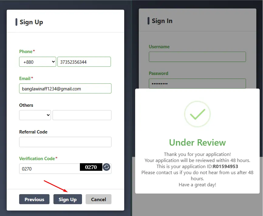 What Common Problems Do Users Face When Registering, and How to Solve Them?