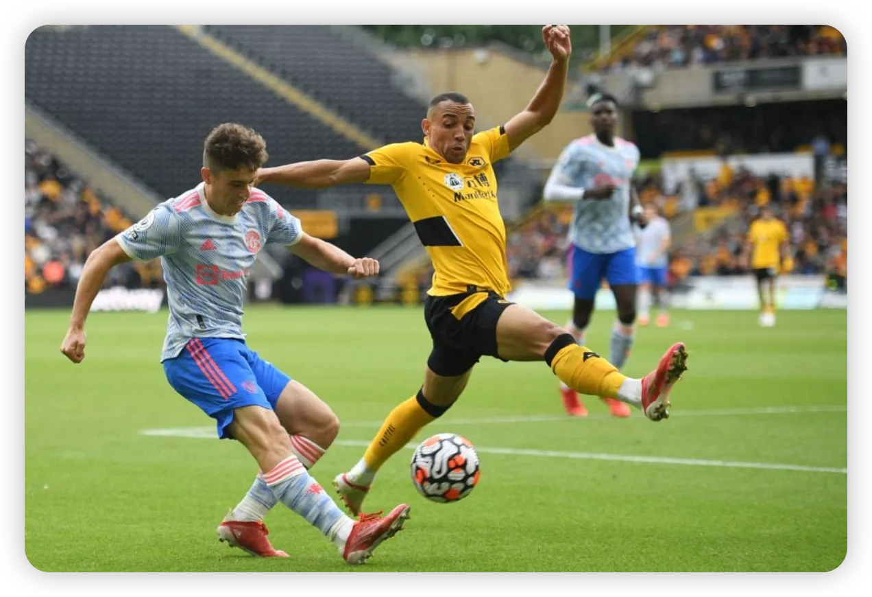 What’s Next for Wolves?